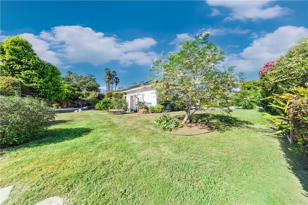 Property photo 46