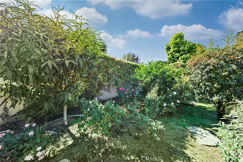 Property photo 49
