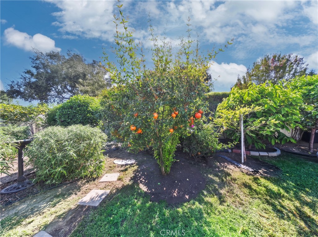 Property photo 50
