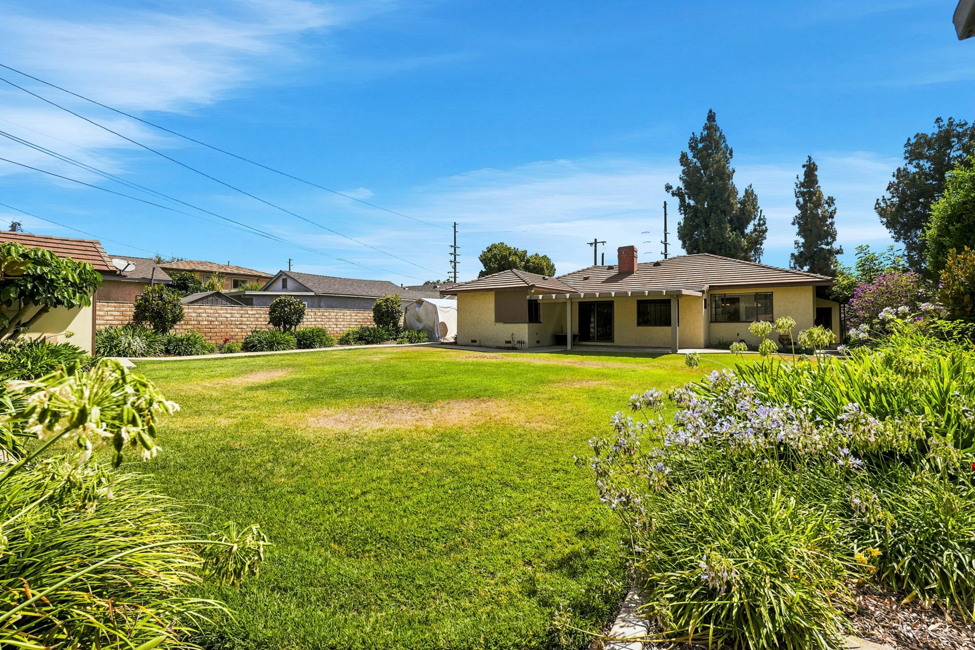Property photo 44