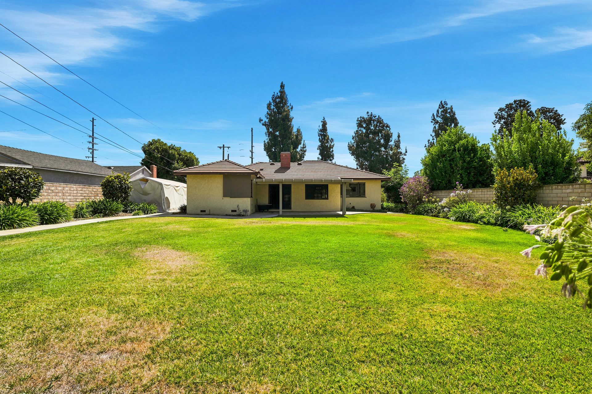Property photo 46