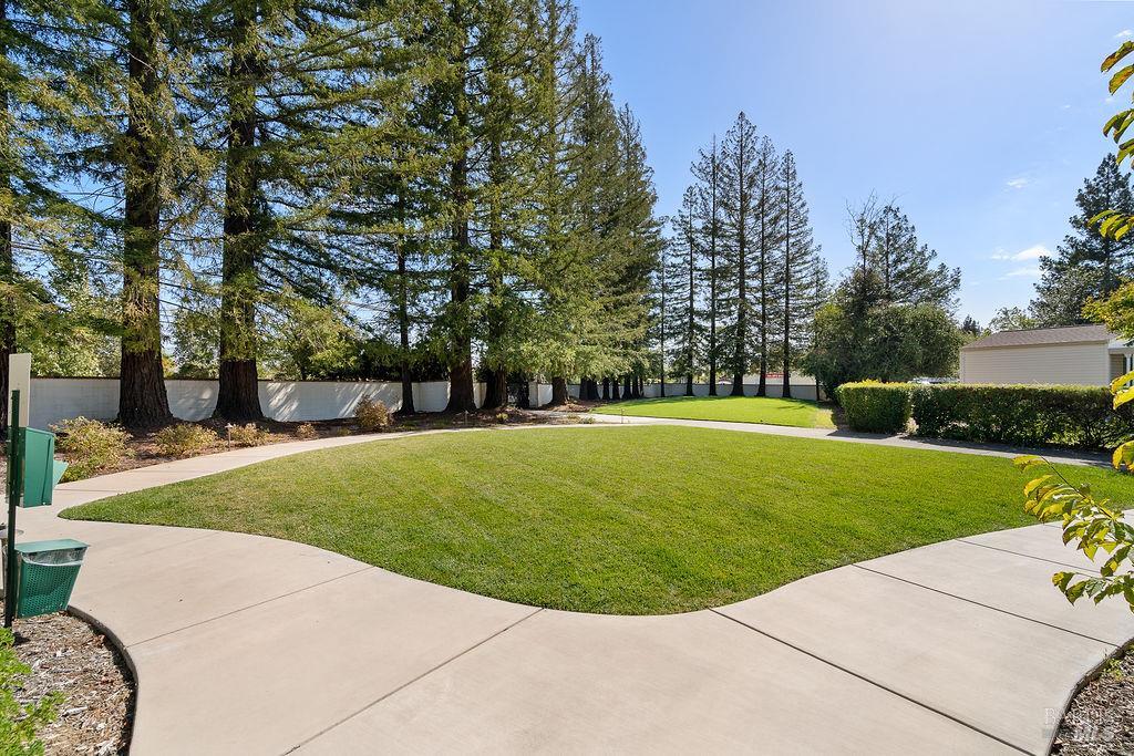 Property photo 47