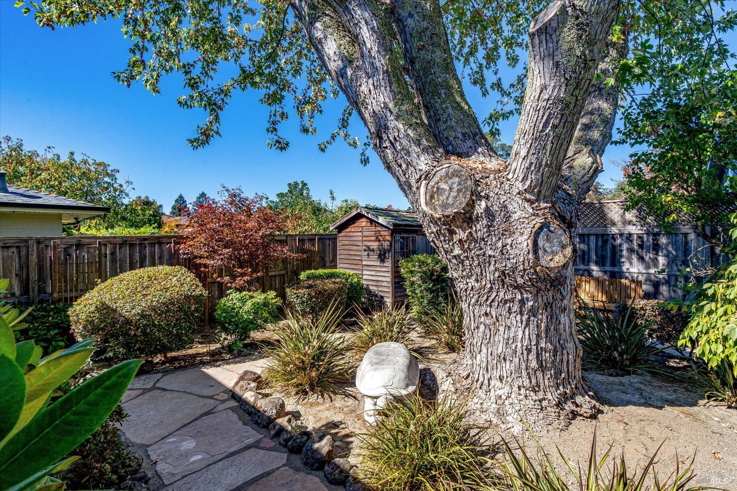 Property photo 47