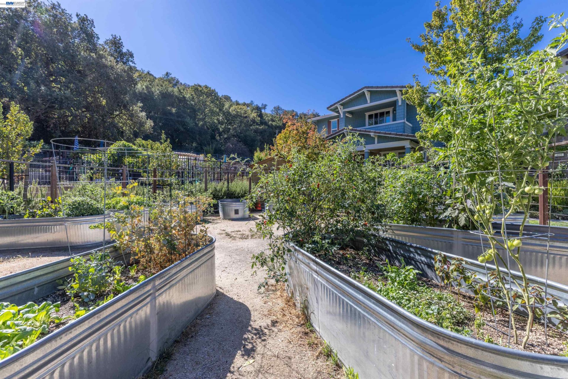 Property photo 45