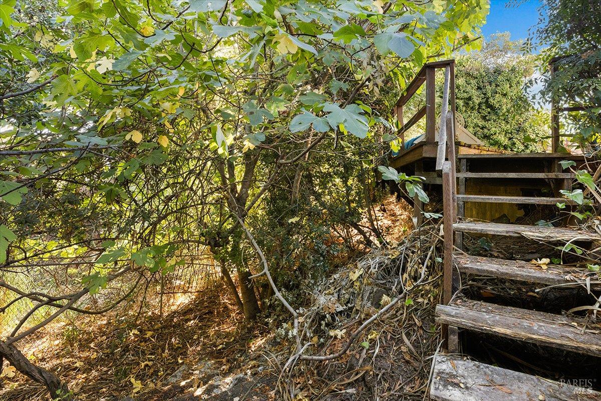 Property photo 33