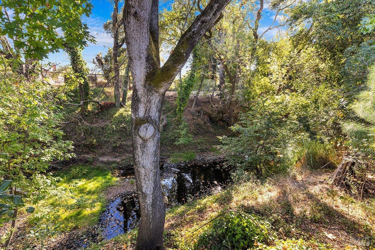 Property photo 35