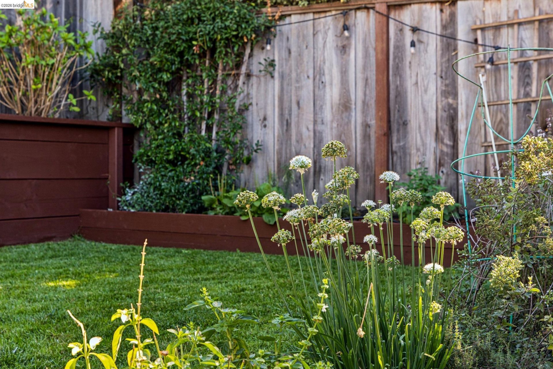 Property photo 50