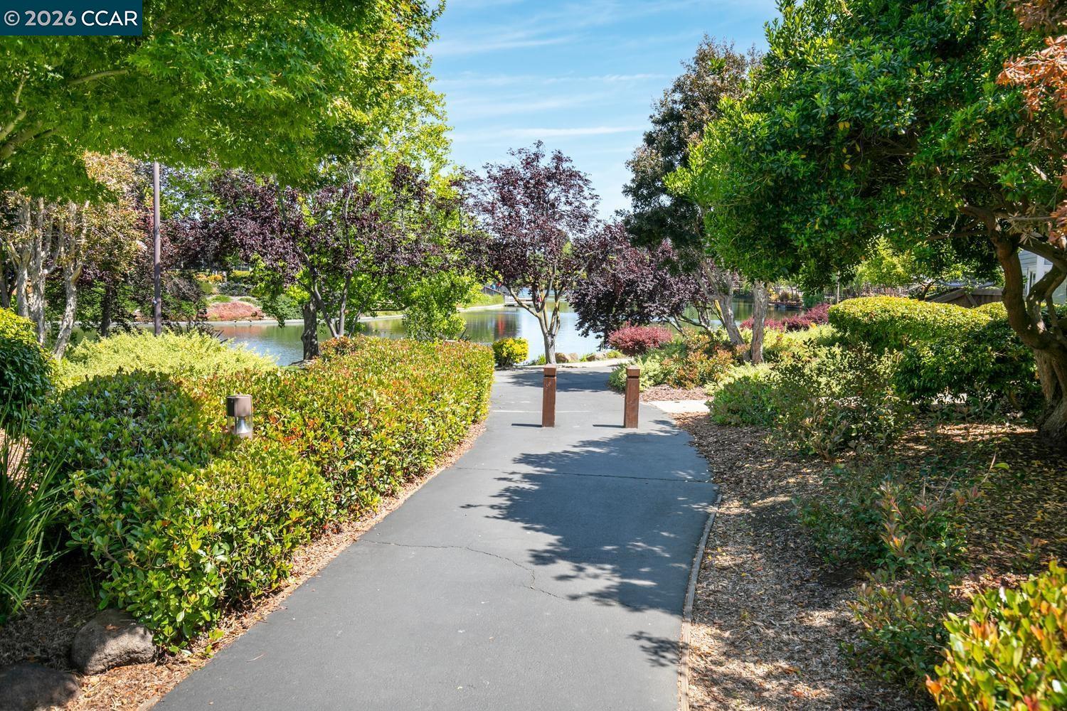 Property photo 41