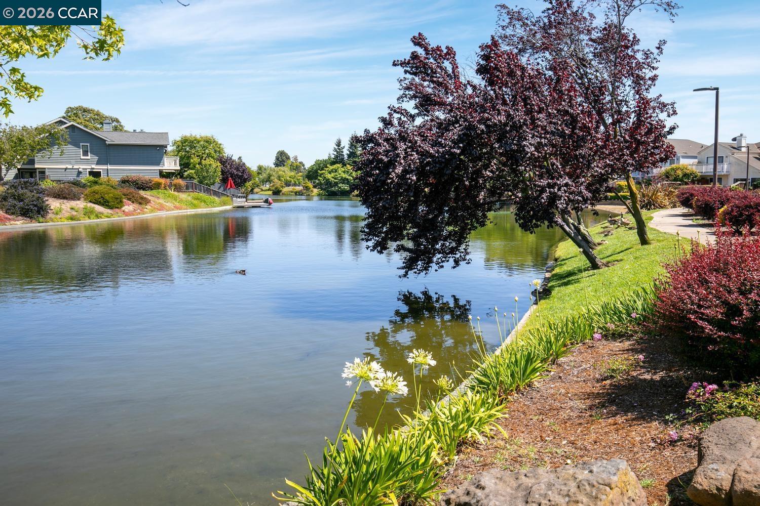 Property photo 42
