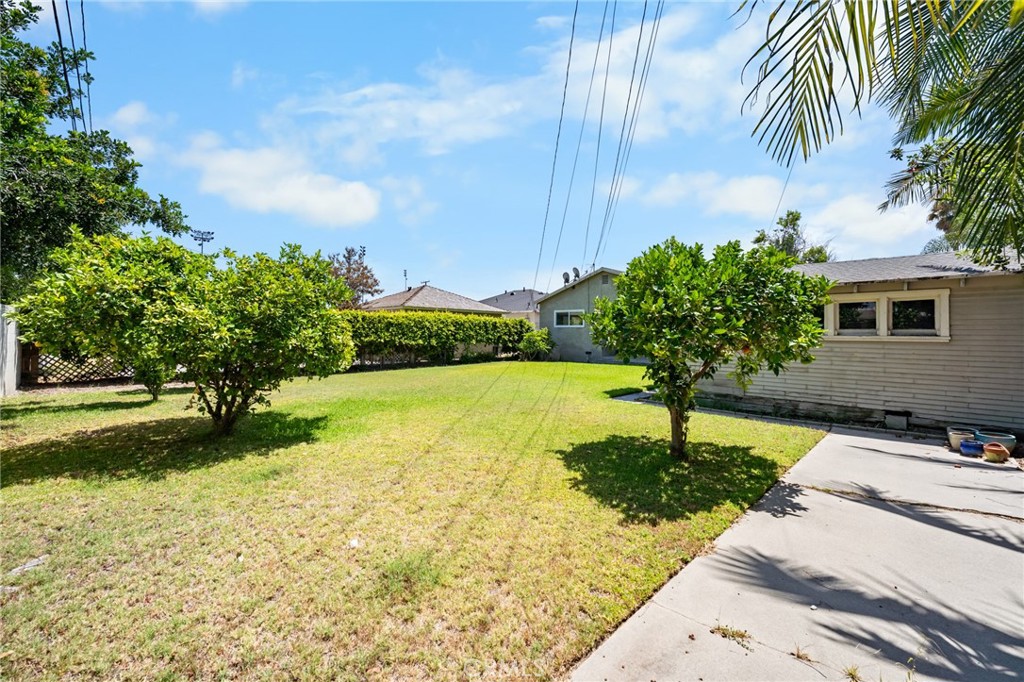 Property photo 38