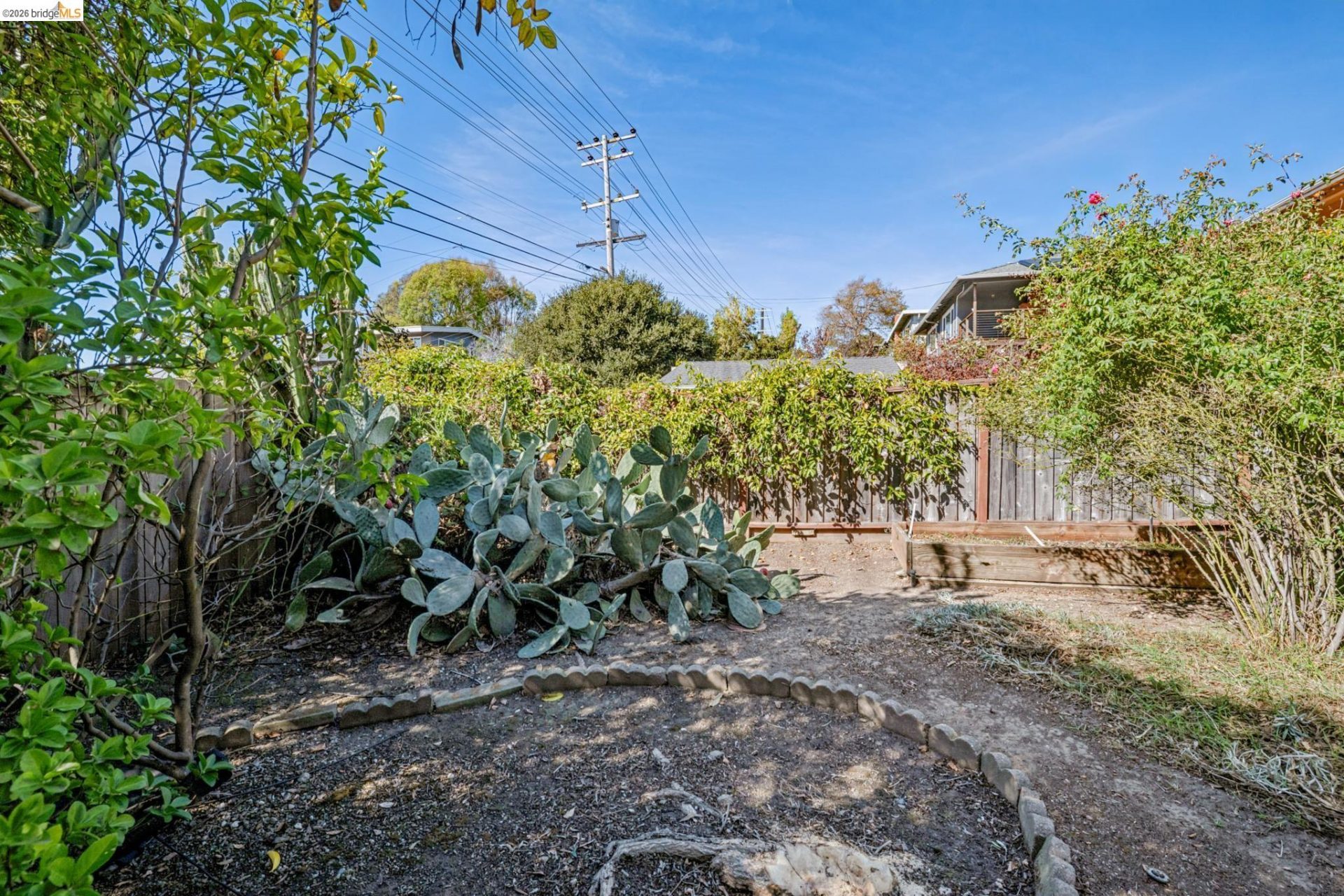 Property photo 49