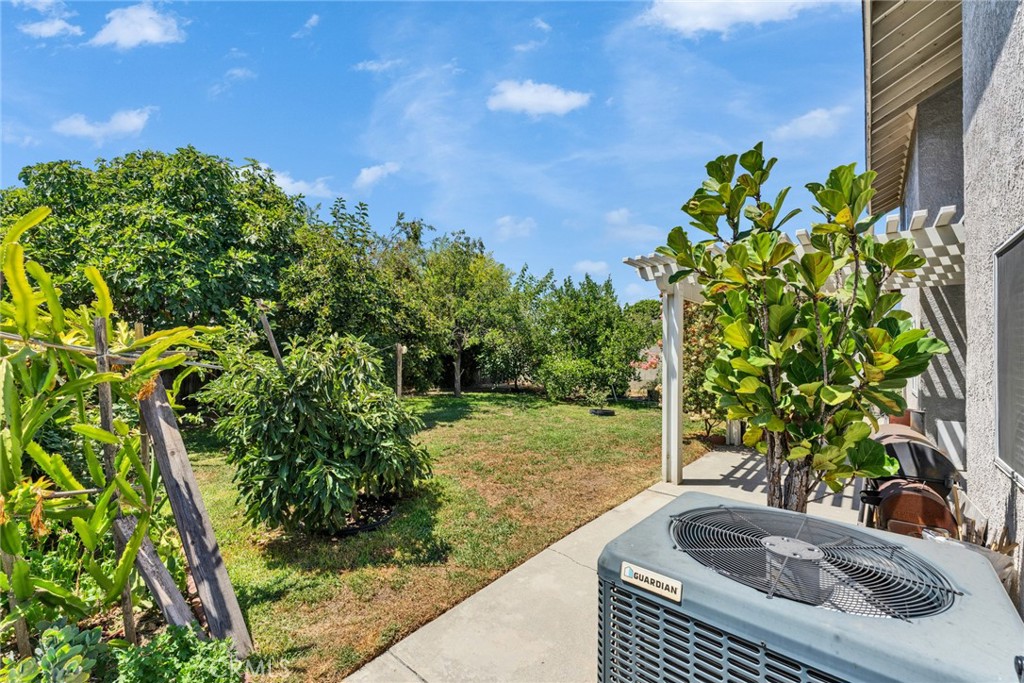 Property photo 37