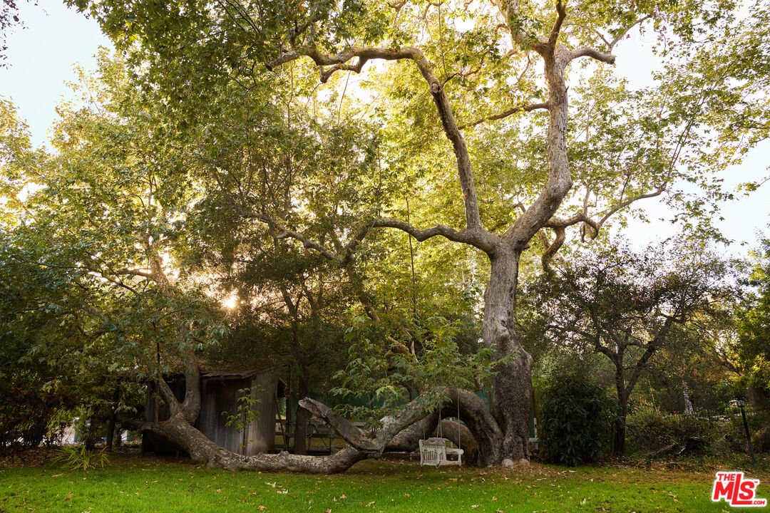 Property photo 50