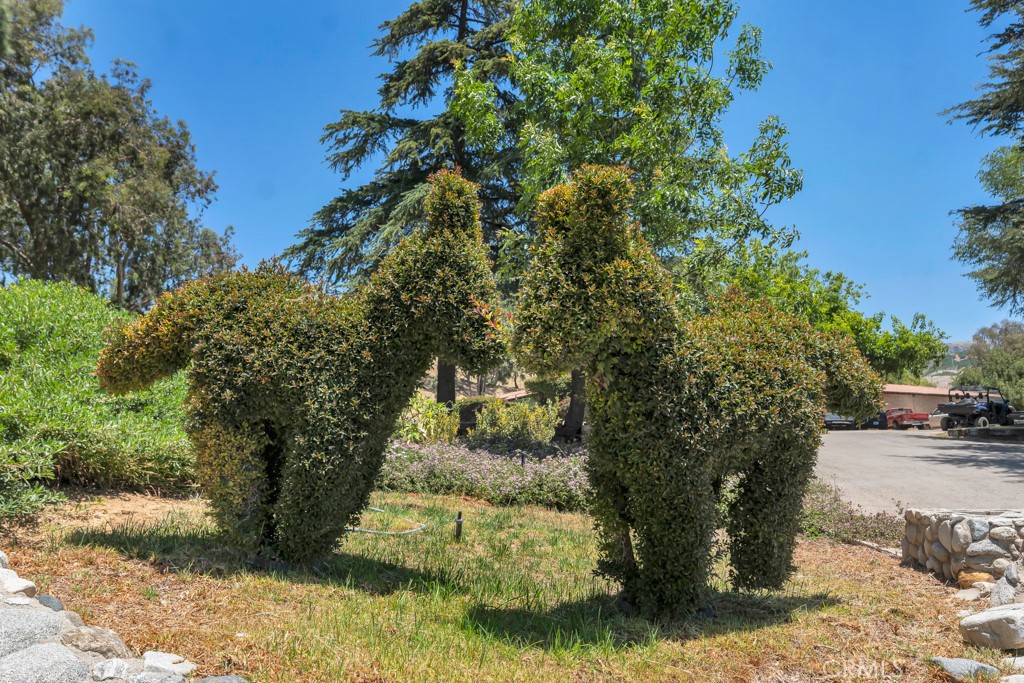 Property photo 22
