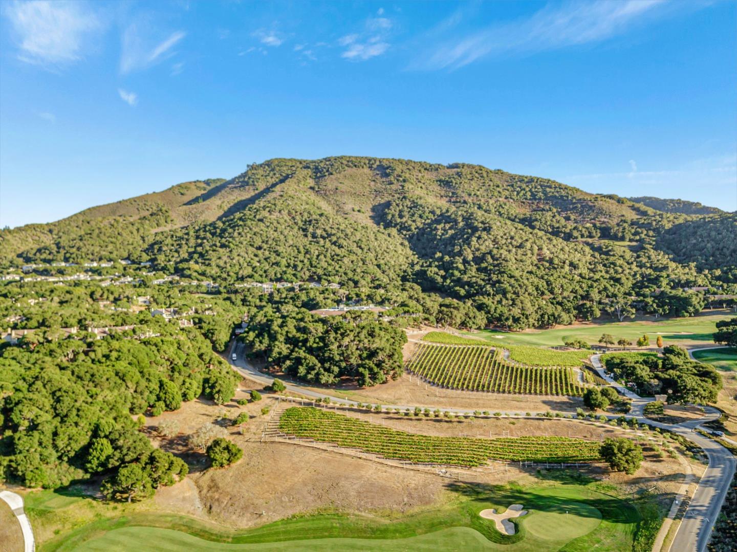 adamo Adamo Ranch