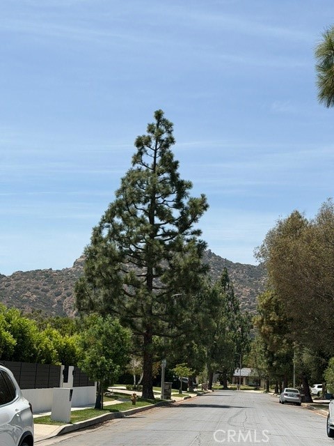 Property photo 47