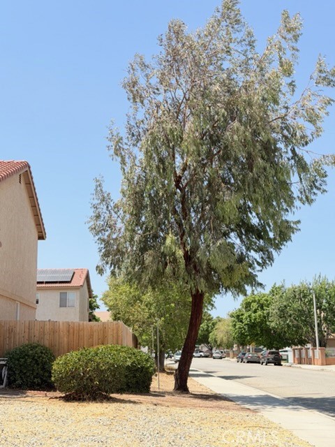 Property photo 33