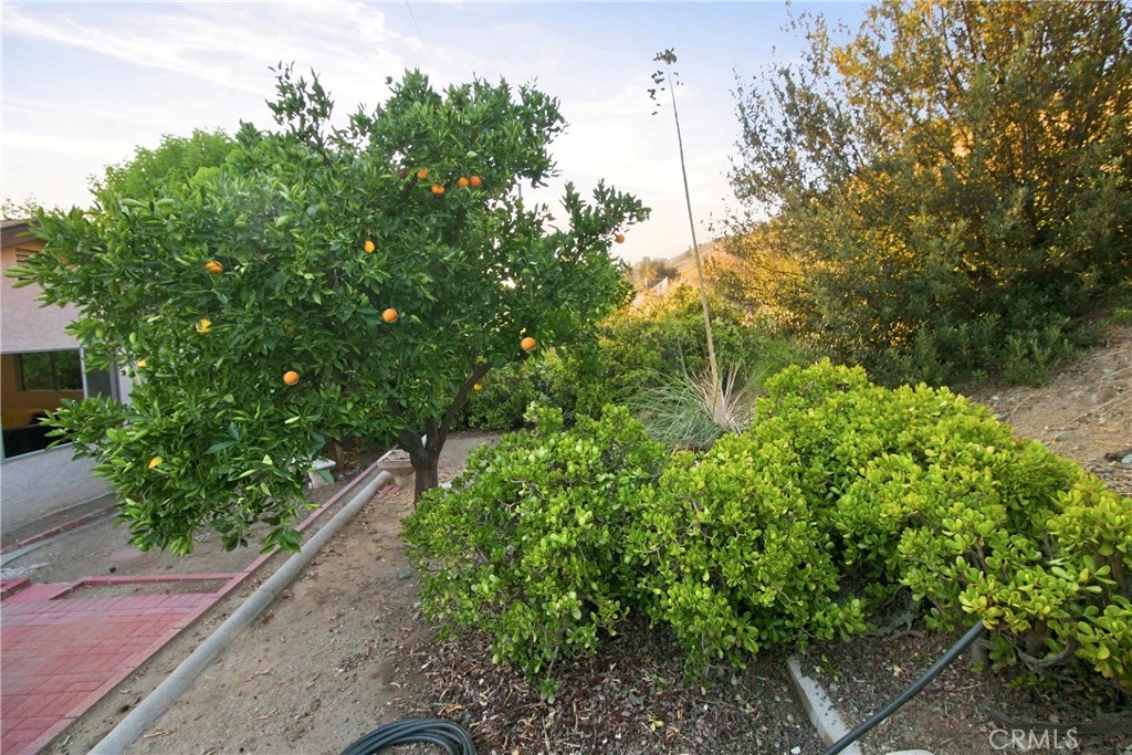 Property photo 44