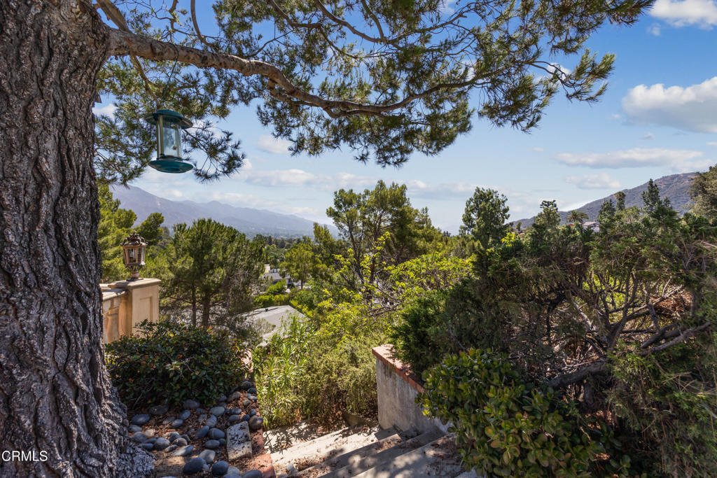 Property photo 42