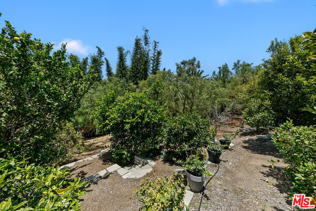 Property photo 31