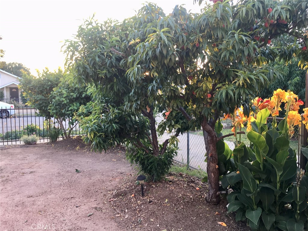 Property photo 17