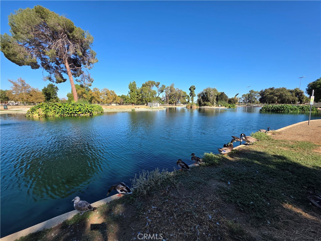 Property photo 38