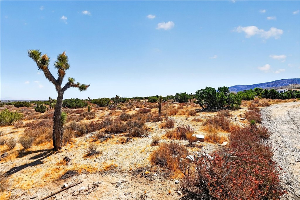 Property photo 17