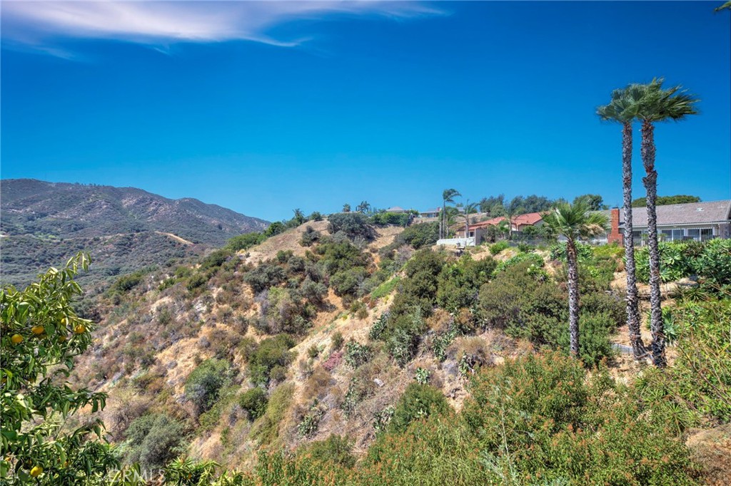 Property photo 48