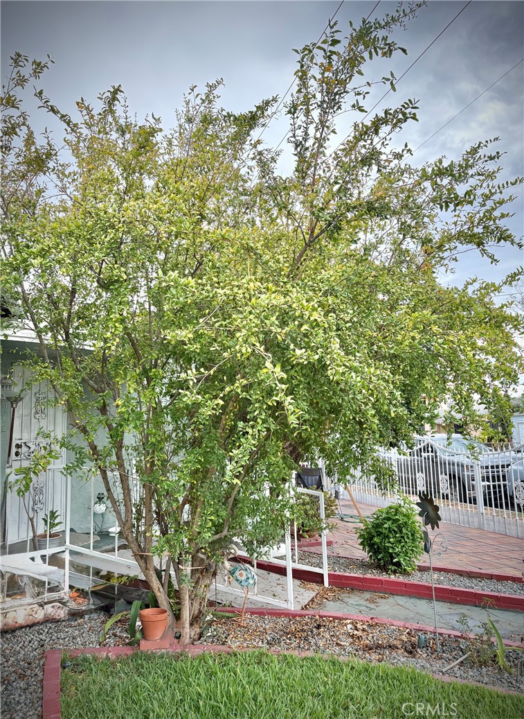 Property photo 29