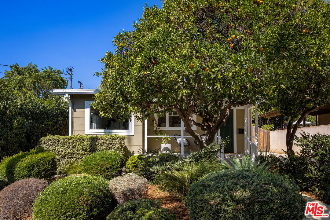 Property photo 42
