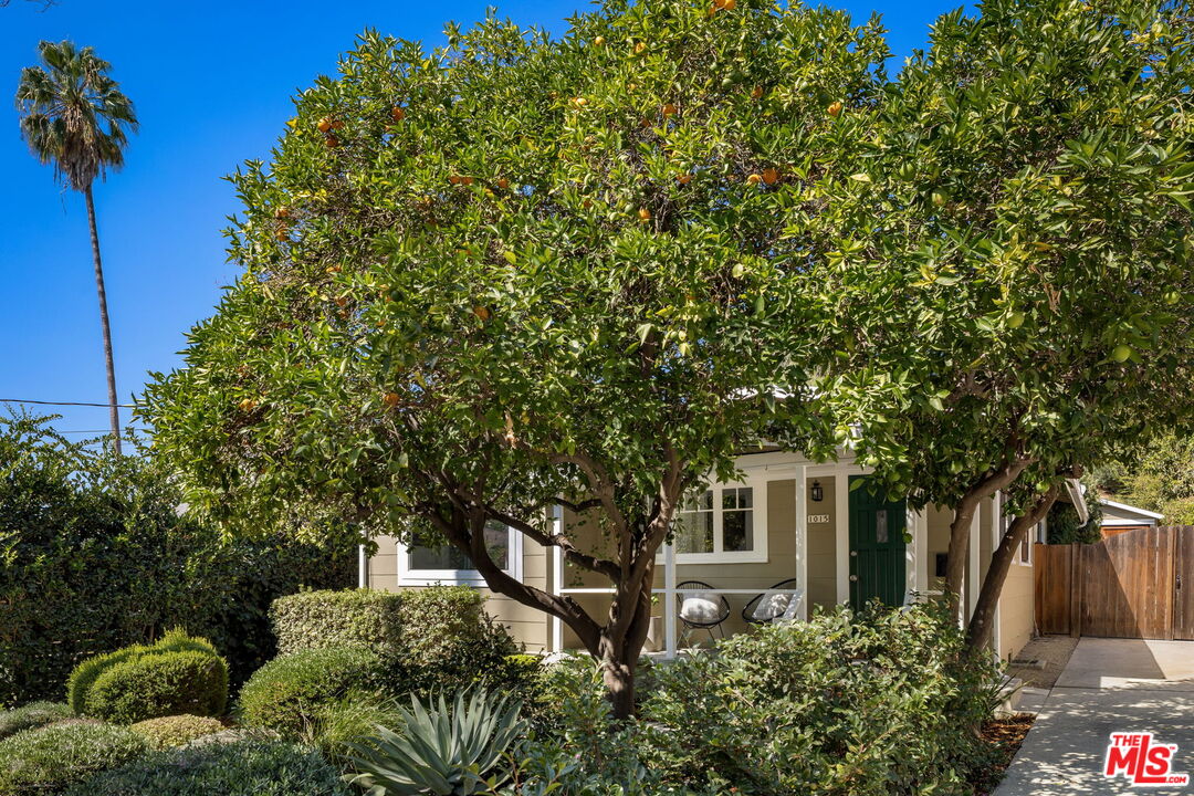 Property photo 43
