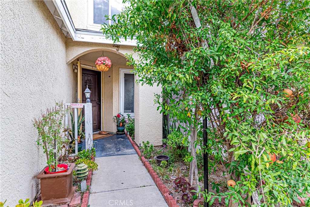 Property photo 43