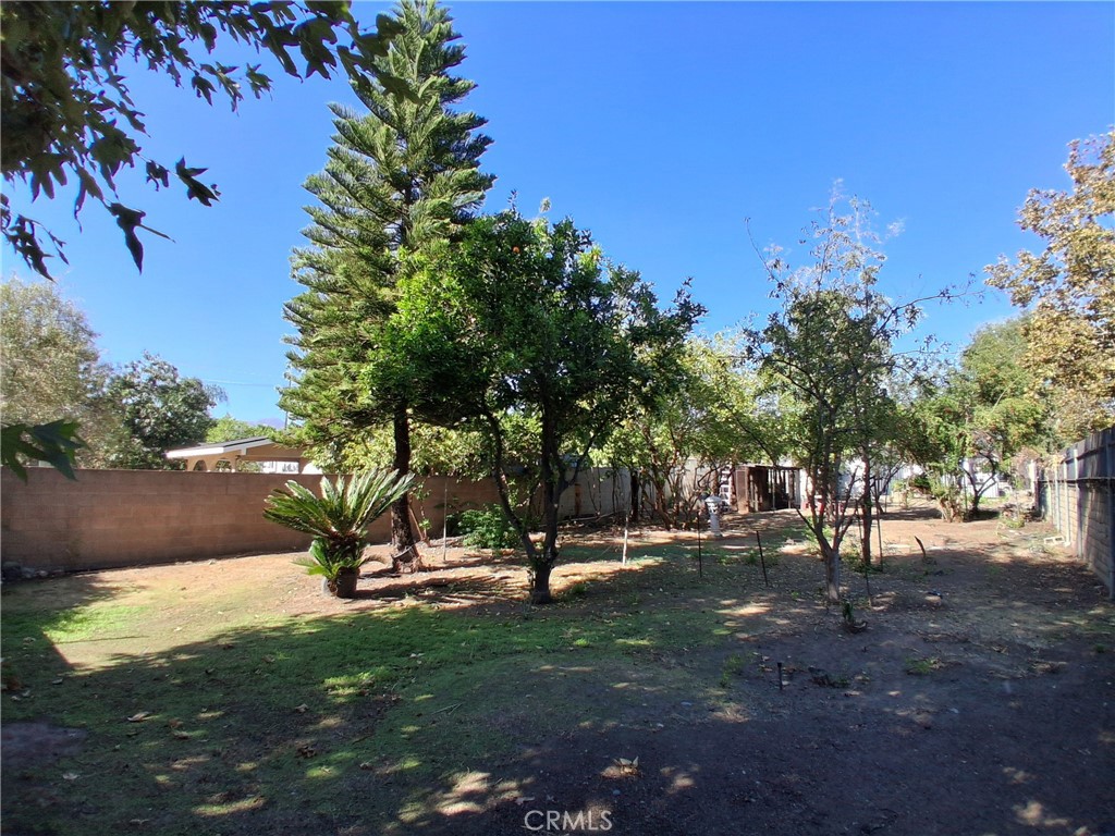 Property photo 41