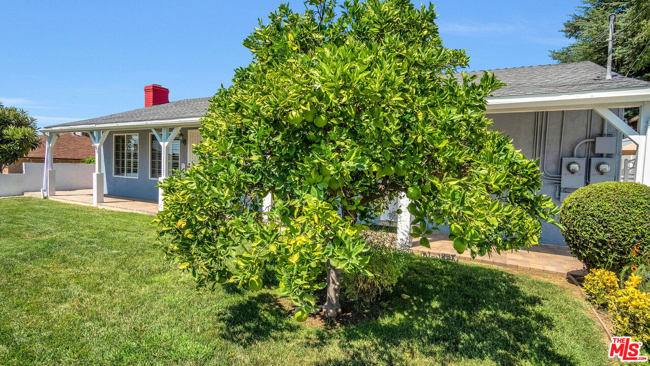 Property photo 38