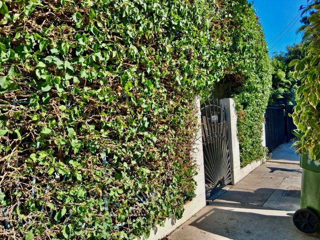 Property photo 45