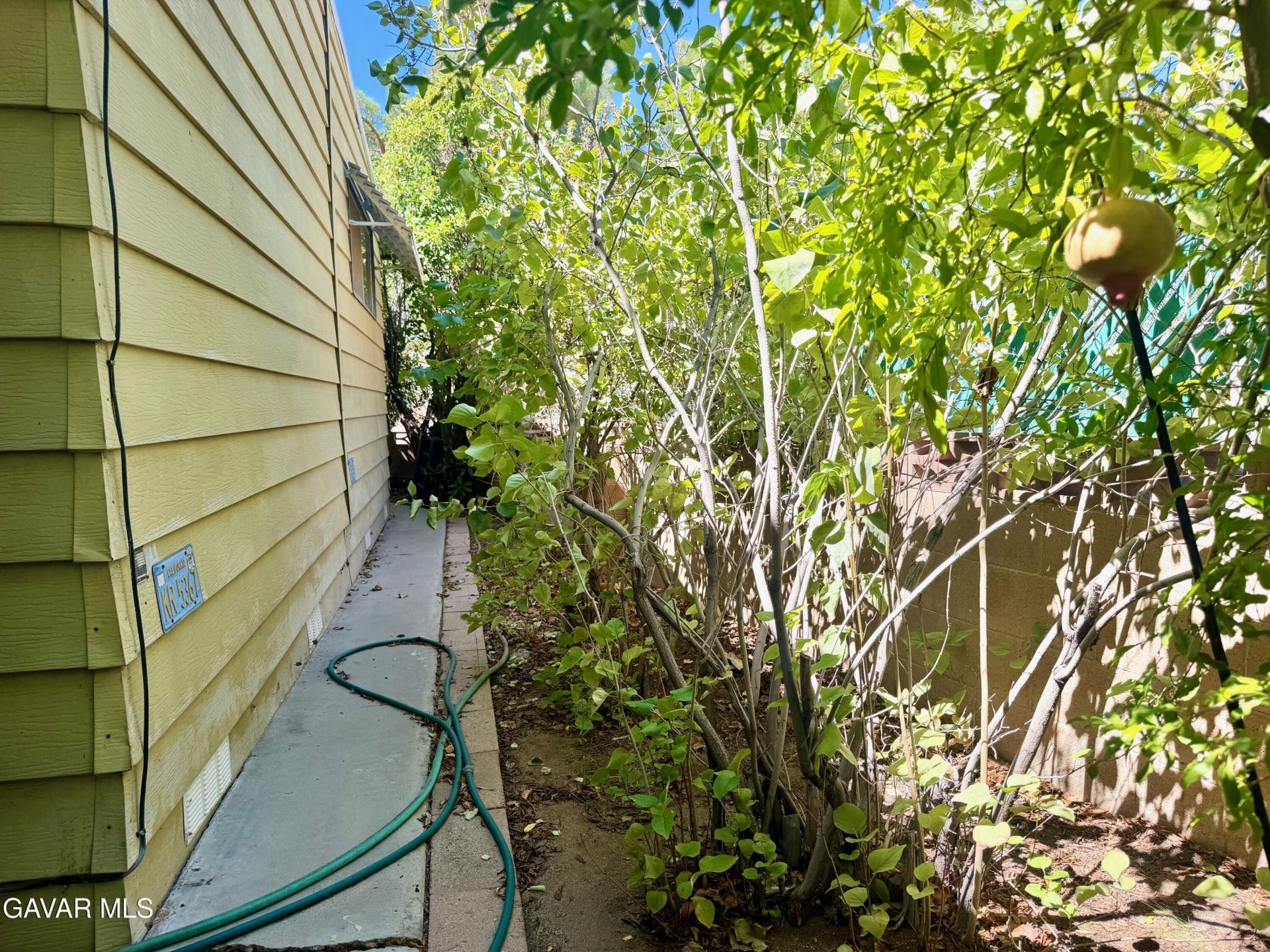 Property photo 39