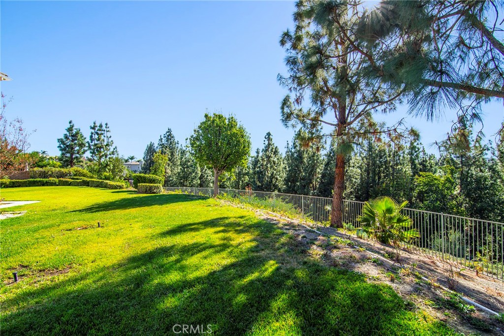 Property photo 49