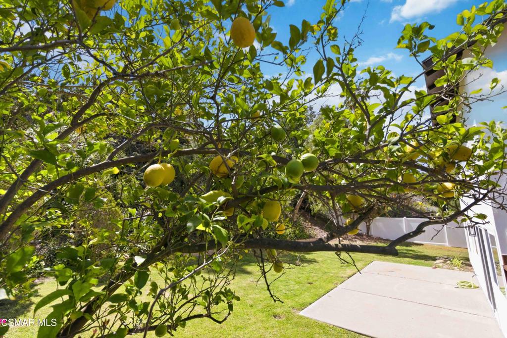 Property photo 40