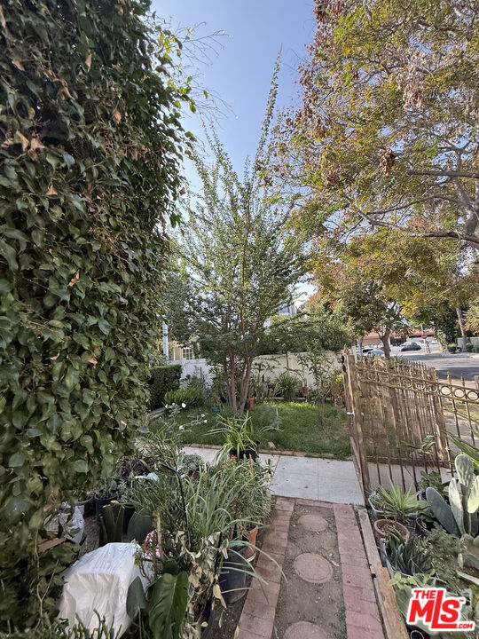 Image 4