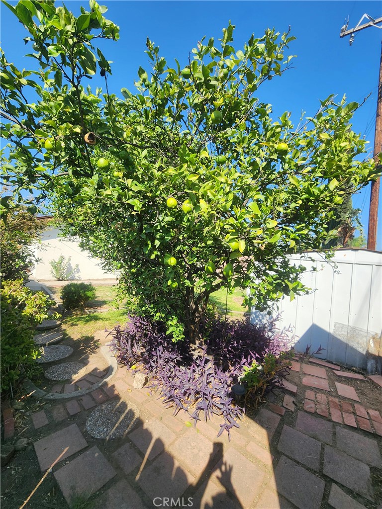 Property photo 34