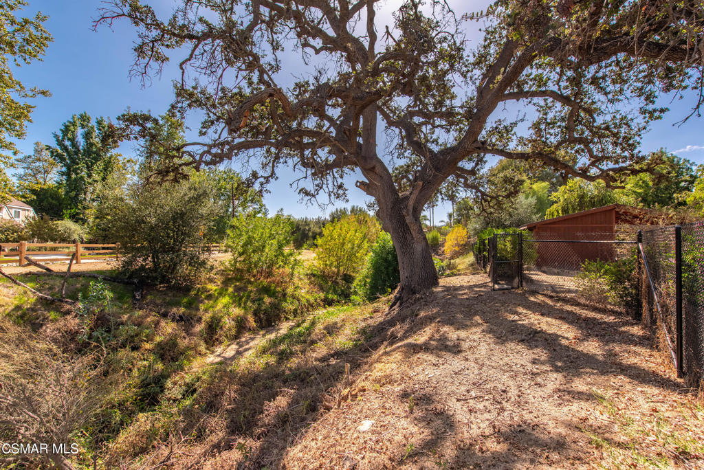 Property photo 46