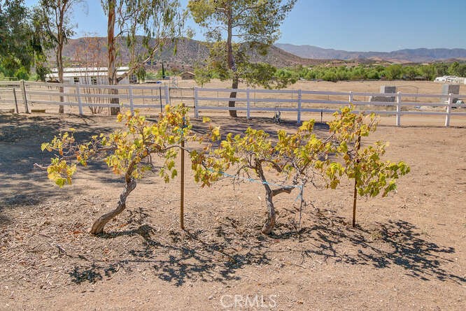 Property photo 48