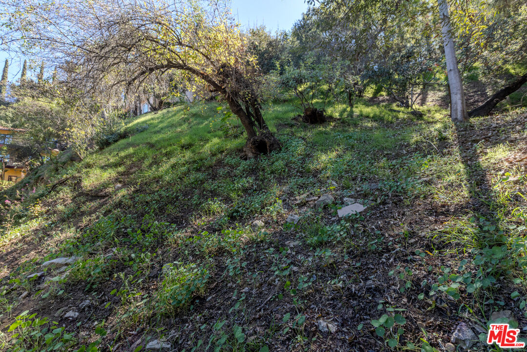 Property photo 22
