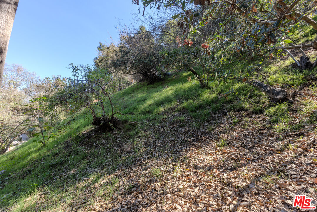 Property photo 24