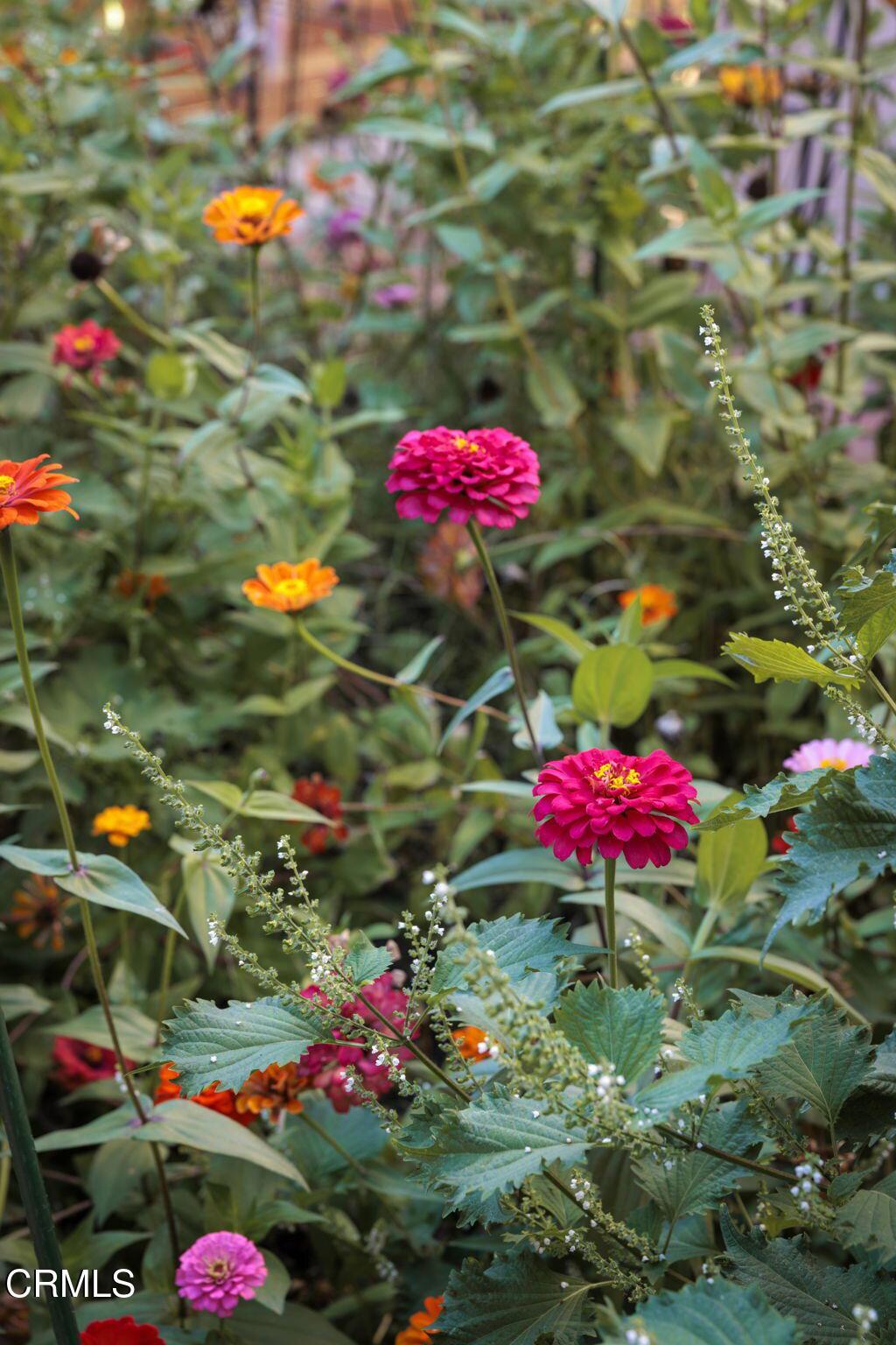Property photo 24
