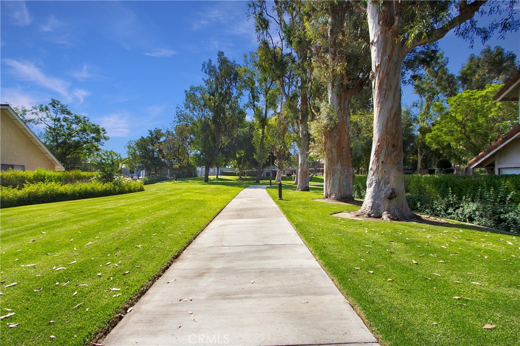 Property photo 46