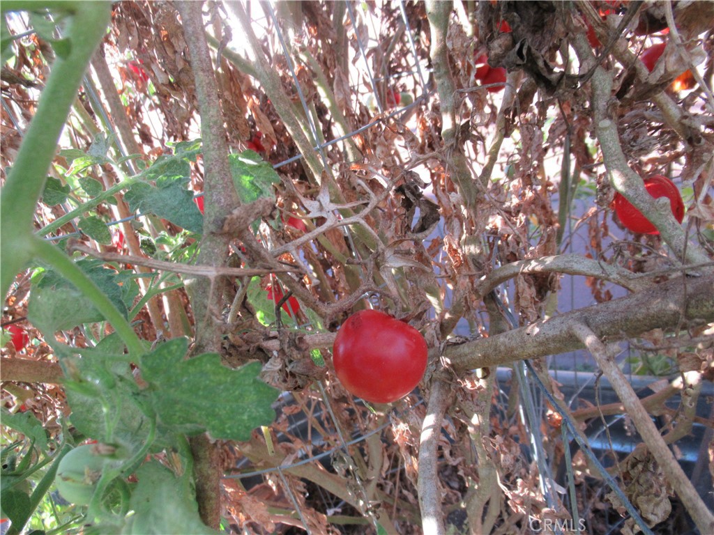 Property photo 43