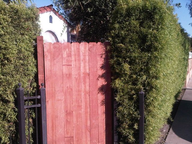 Property photo 41