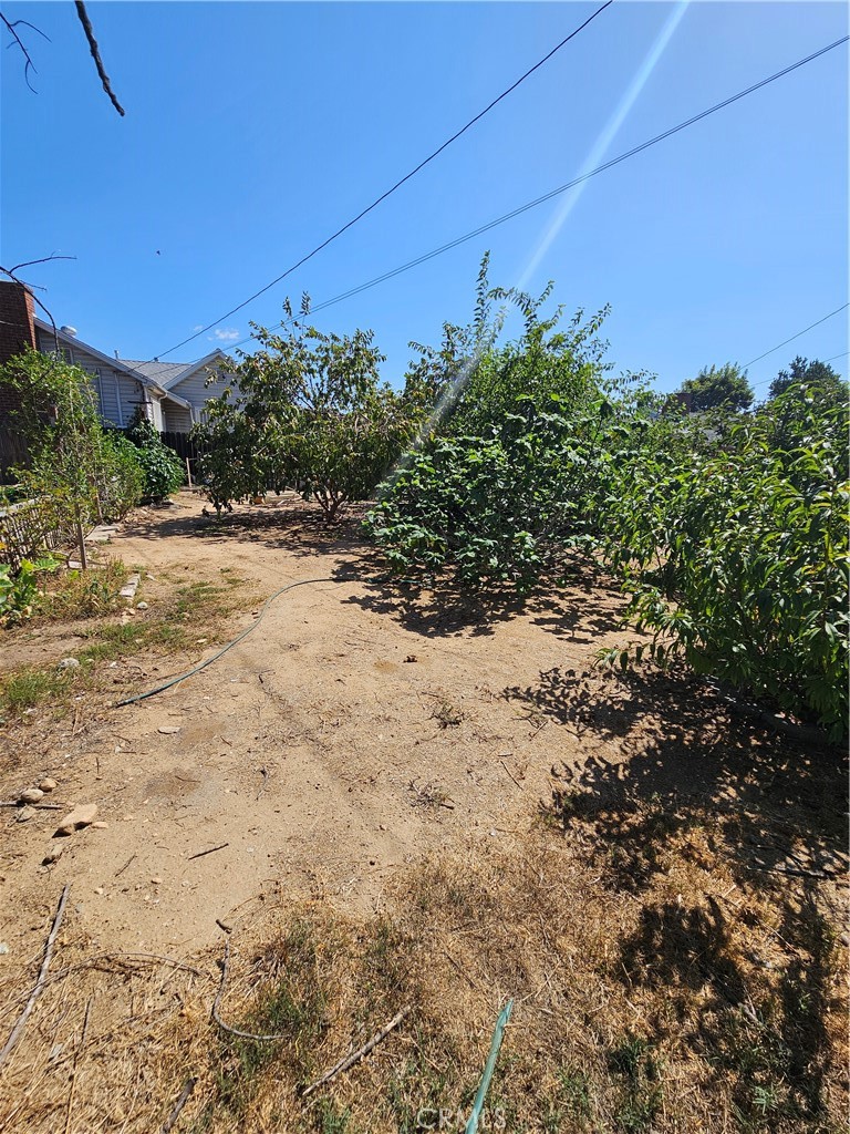 Property photo 33