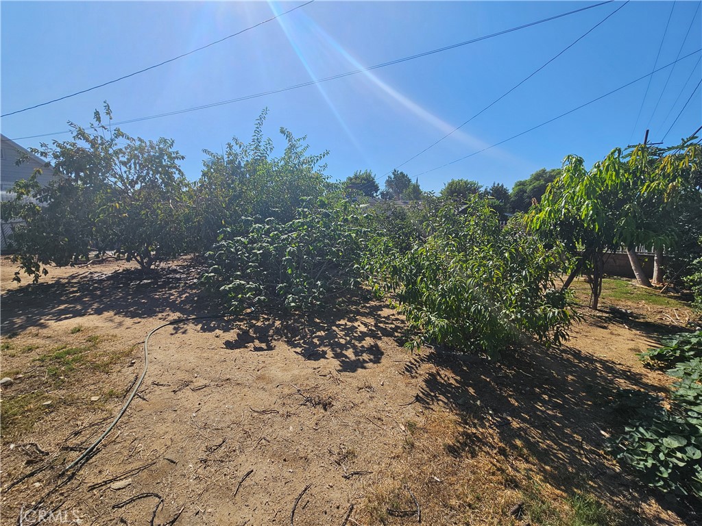 Property photo 45